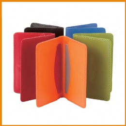 Credit Card Holder Case